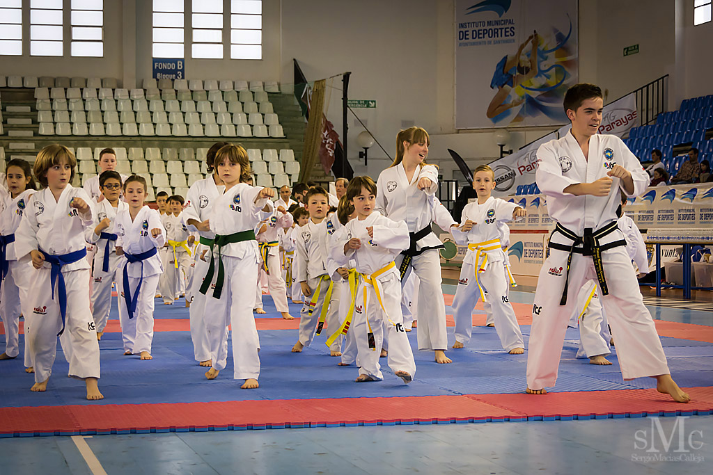 DIA DEL TAEKWONDO ABRIL 2017_3611.JPG